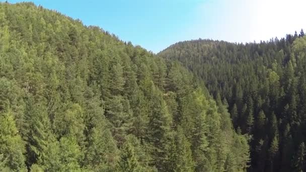 Voar sobre árvores em madeira de montanha .Aerial — Vídeo de Stock