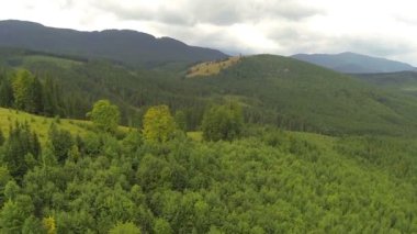 ahşap dağlar ve bulutlar. manzara. Hava panorama