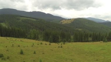 Uçuş ahşap ile dağlarda tepenin üzerinde. Hava atışı