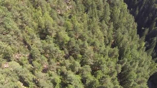 Beau bois dans les montagnes. Vue aérienne du dessus — Video