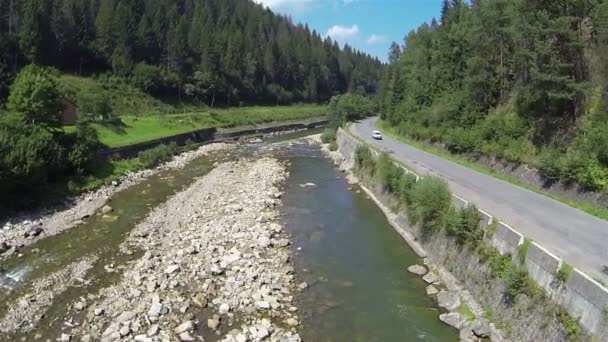 Vuelo sobre el río de montaña con madera y carretera. Antena — Vídeo de stock