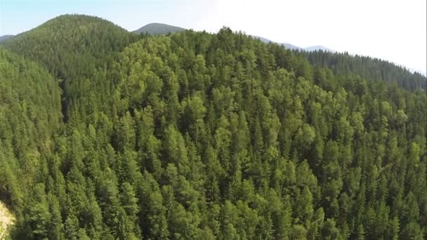 Panorama de vol lent sur la vallée de la rivière et des montagnes. Aérien 