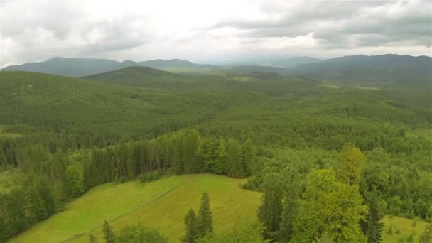 Boční létat nad horu s dřevem (kopce). Letecký snímek krajiny — Stock video