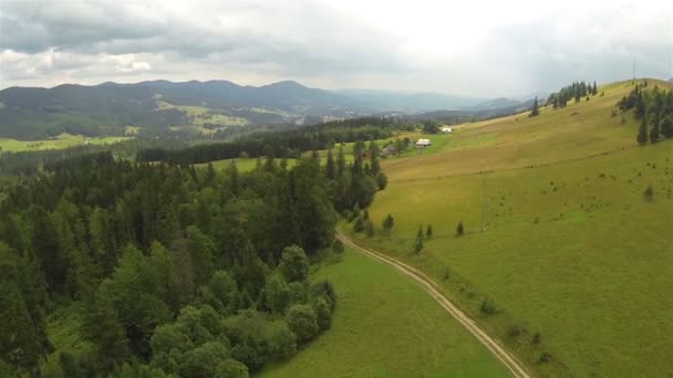 Rearl Fly over berg met hout (heuvels). Luchtfoto in bewolkte dag — Stockvideo