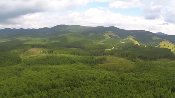 Bois dans les montagnes et les nuages. Beau paysage. Panorama aérien — Video