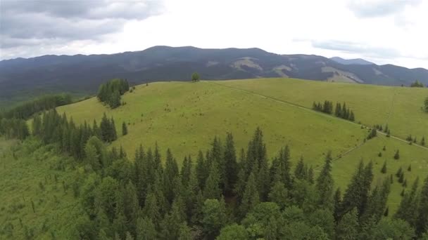 Repülés-domb, a hegyek felett. Légi felvétel — Stock videók