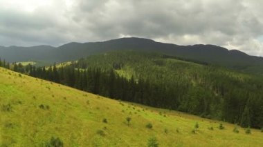Uçuş ahşap ile dağlarda parlak tepenin üzerinde. Hava atışı