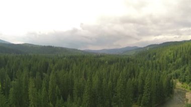 Yavaş uçuş Dağları'nda yüksek ahşap üzerinde. Hava