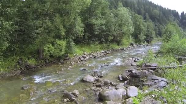 Vlucht over kleine berg rivier. Luchtfoto — Stockvideo