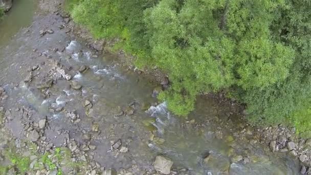 Полет над маленькой горной рекой. Вид сверху с воздуха — стоковое видео