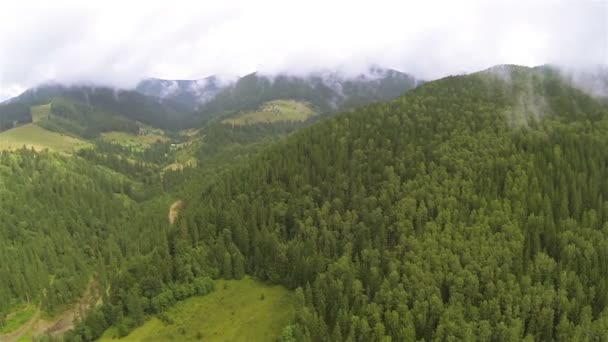 Em cima de madeira na montanha. Panorama aéreo — Vídeo de Stock