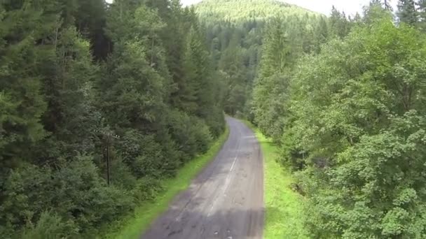 Em cima de madeira na montanha com estrada. Tiro aéreo — Vídeo de Stock