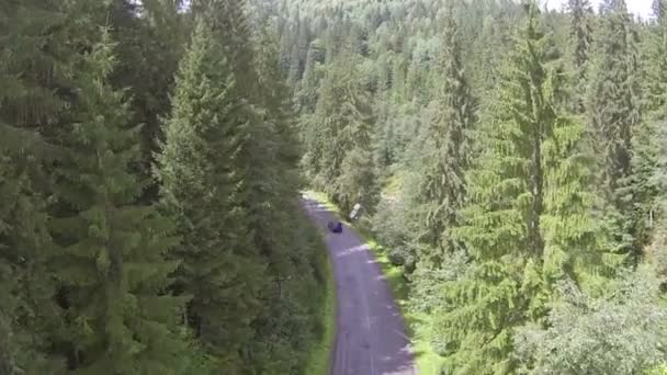 Fly up over wood in  mountain and road with cars. Aerial — Stock Video