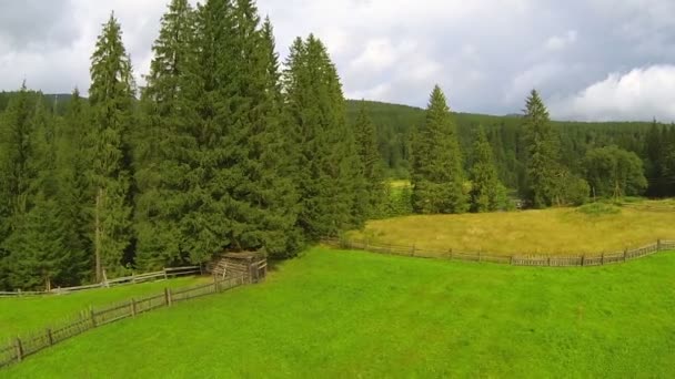 Prairie verte et jaune, rivière et montagnes. Paysage. Aérien — Video