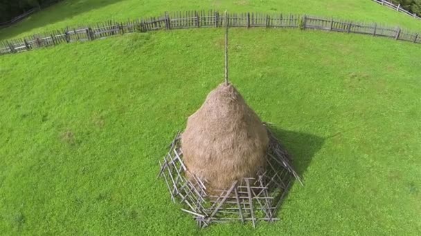 Heuhaufen auf der grünen Wiese. Luftaufnahme von oben — Stockvideo