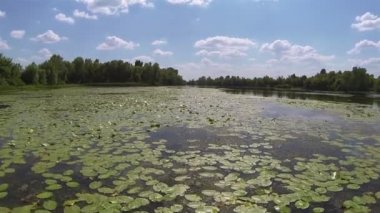 Güzel sessiz nehir ve e üzerinde gökyüzü bulutlu. Havadan görünümü