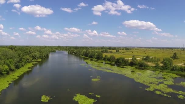 Petite rivière aux feuilles et chaude journée d'été.Vue aérienne 