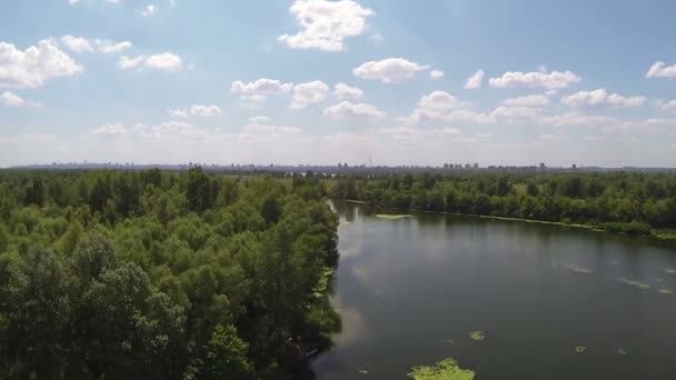 Landscape with  river and trees. Aerial view — Stock Video