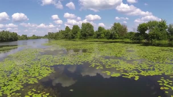 Gyönyörű csendes-folyó és az ég, a felhők. Légifelvételek — Stock videók