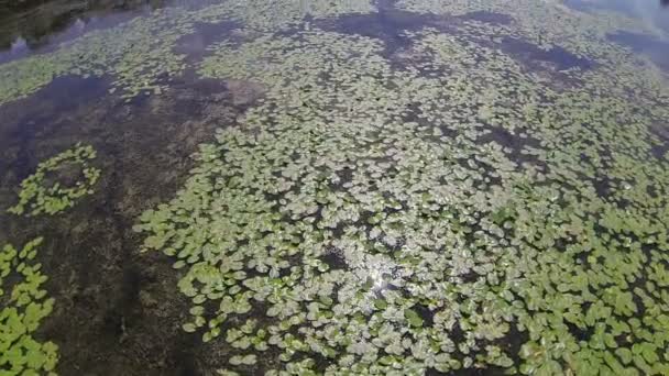 Al otro lado del río. Vista superior aérea — Vídeos de Stock