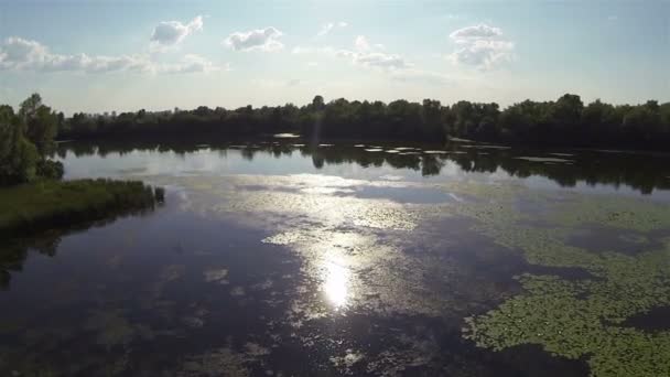 Evening flight over  river with sun reflection. Aerial view — Stock Video