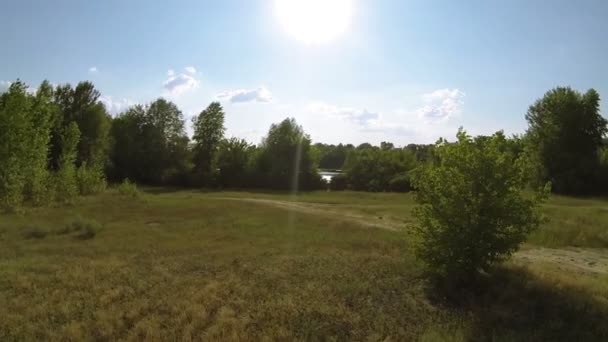 Vol en soirée au-dessus du champ et des arbres. Vue aérienne 