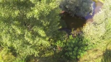 Rüzgarlı bir gün ağacında. Hava Üstten Görünüm