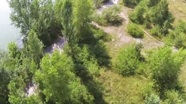 Côte du lac avec des arbres. Aérien 
