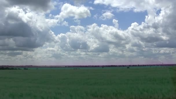 Schöne Wolken über grünem Feld. Landschaft, Zeitraffer — Stockvideo