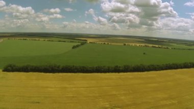 Buğday alan ve güzel gökyüzü. Yükseklikten görüntüleyin. Hava