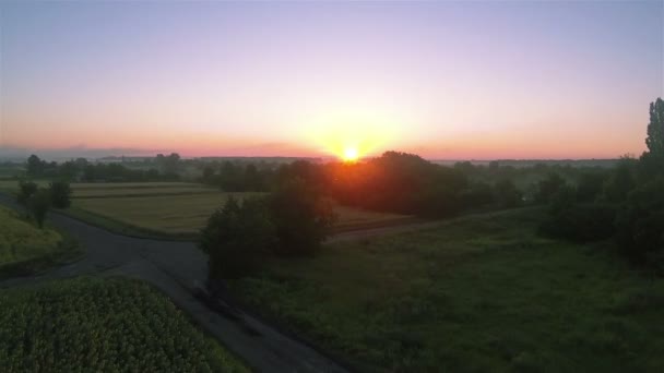 Yukarı hava kırsal alanda ayçiçeği ve gündoğumu alanın üzerinde — Stok video