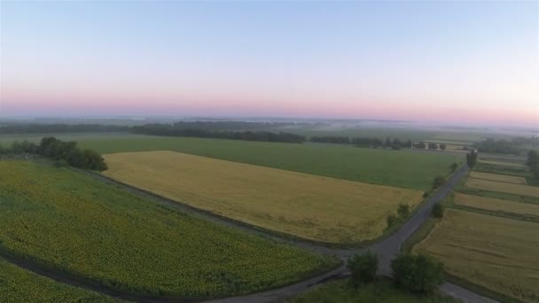 Campo agrícola. Vuelo con disminución Aérea — Vídeos de Stock