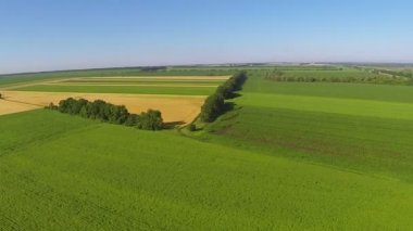 Kırsal manzara Panoraması bitkileri yeşil alanları ile. Hava