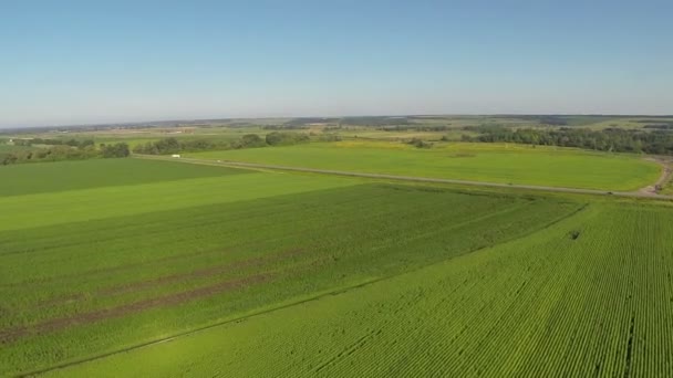 Green field with cars in the distance. Aerial — Stock Video