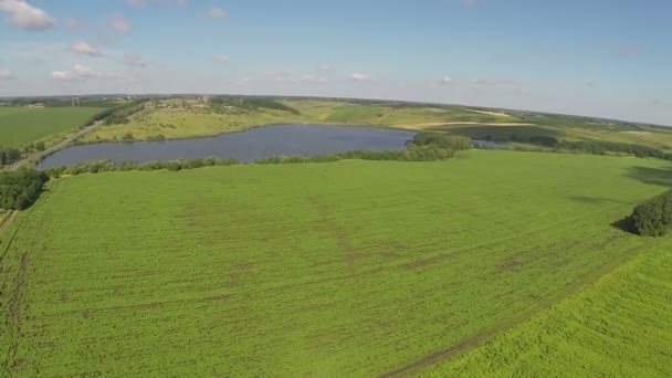 Sobre el lago y las verdes colinas. Paisaje aéreo panorama — Vídeos de Stock