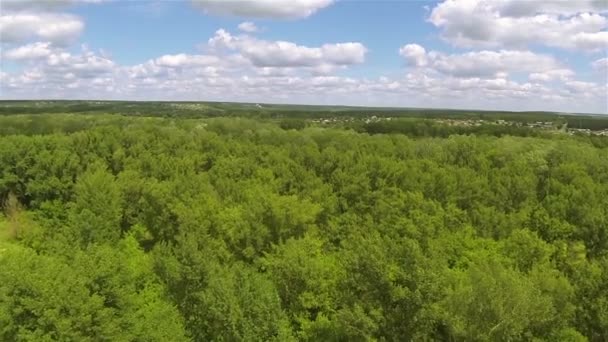 Suburbs of  city and green wood. Aerial slow fly — Stock Video