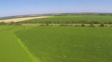 Yeşil alan ve otoyol. Hava manzara