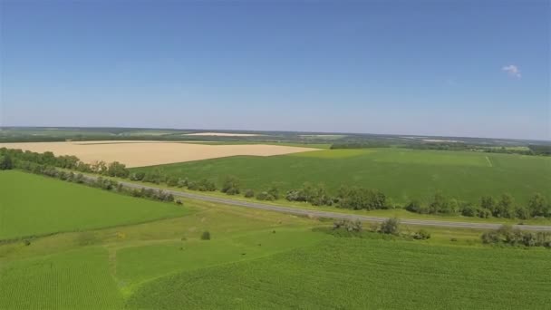 Zelená pole a dálnice s autem. Anténa na šířku — Stock video