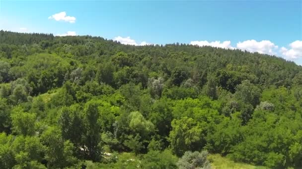 Panorama ze dřeva a krásné nebe s mraky. Vzdušné letní krajina — Stock video