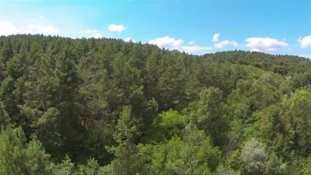 Vuelo lento con madera y mar. Antena — Vídeos de Stock