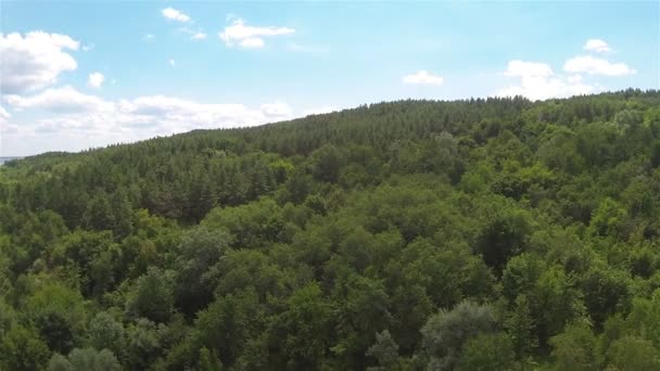 Wald auf Hügel. Luftaufnahme — Stockvideo