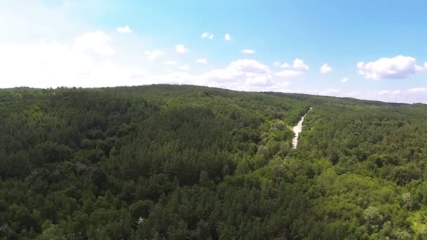 Hout met weg op heuvel. Luchtfoto — Stockvideo