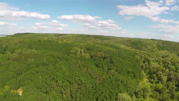 Panorama van zee, hout in zonnige dag. Luchtfoto — Stockvideo