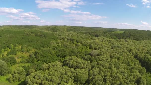 Wood  on hill .Aerial — Stock Video