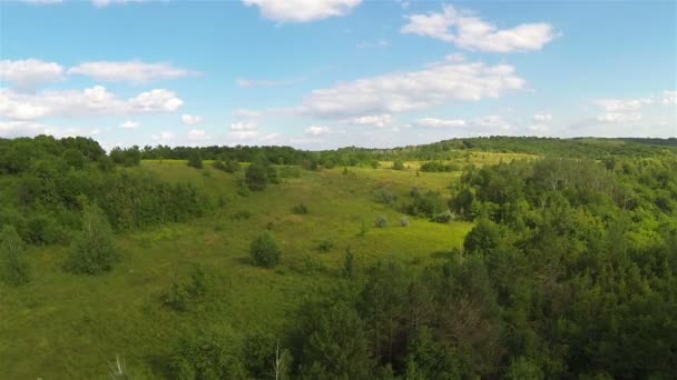 Wood  on hills .Aerial — Stock Video