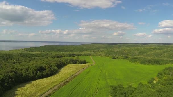 Champ vert, mer et bois. Paysage rural aérien — Video