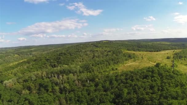 Wood  on hill and sky with clouds .Aerial  summer time — Stock Video