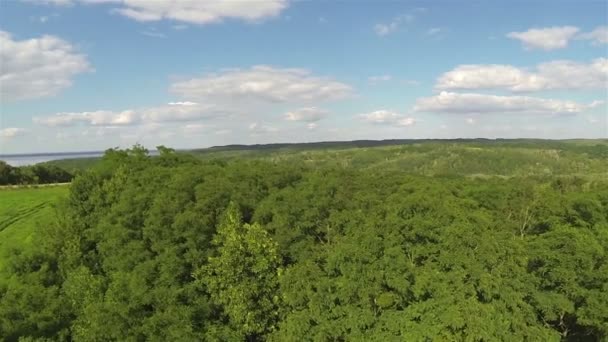 Kronen in hölzerner Luftaufnahme ländlicher Landschaft — Stockvideo