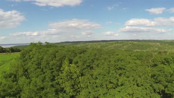 Coronas en madera Paisaje rural aéreo — Vídeos de Stock