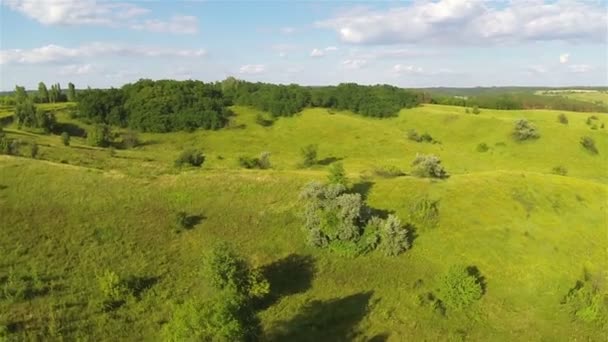 Vackra kullar med träd, himlen med moln. Aerial sommaren — Stockvideo